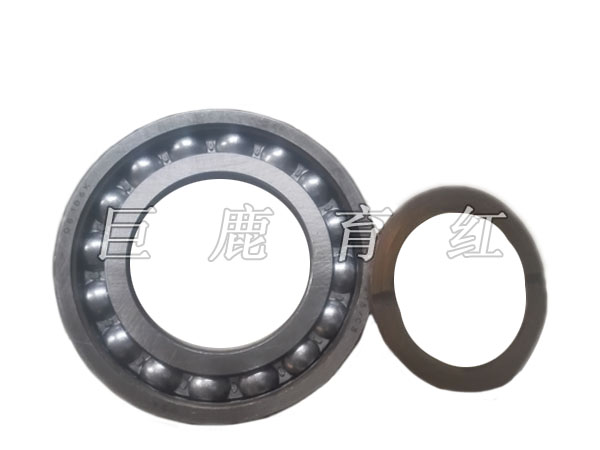 TR100 Bearing  23047987