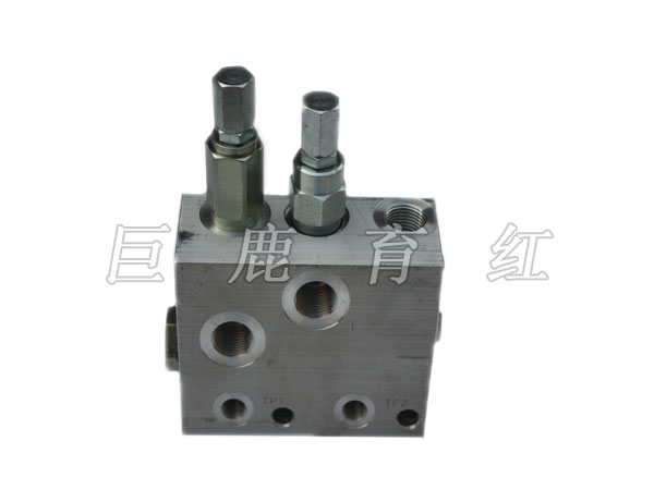 TR100 Combination valve  15253248