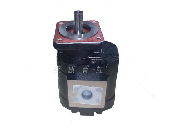 TR100 举升泵 15257475