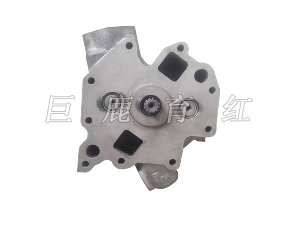 TR100 Oil pump  6880121